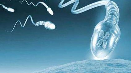 多囊卵巢综合症怎么调理月经？有哪些调理方法？