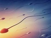 沈阳消息!!第三代试管婴儿的弊端与优势,对比介绍来啦