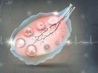 试管冻胚胎需要多少钱？