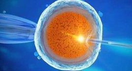 三代试管婴儿多少钱？单三代试管婴儿费用