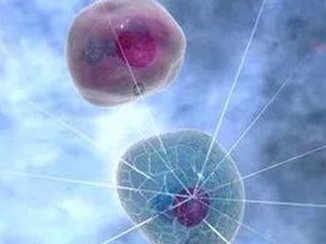 2026年遵义妇幼保健院试管成功率多少？